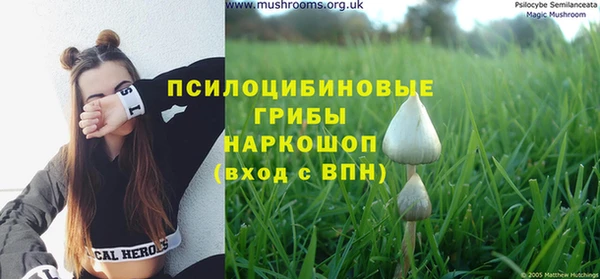 ешки Абинск