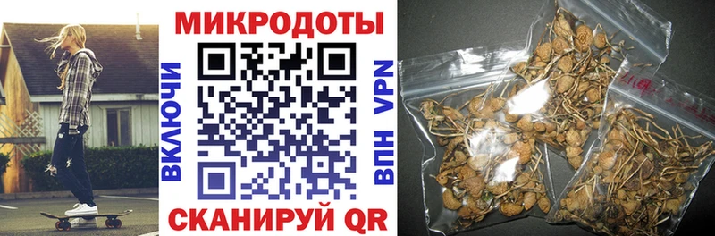 что такое наркотик  Бежецк  Псилоцибиновые грибы Cubensis 